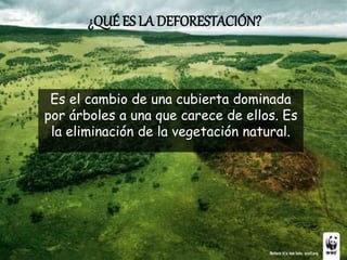 ¿QUÉ ES LA DEFORESTACIÓN?
Es el cambio de una cubierta dominada
por árboles a una que carece de ellos. Es
la eliminación de la vegetación natural.
 