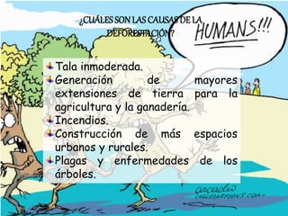 ¿CUÁLESSONLAS CAUSAS DE LA
DEFORESTACIÓN?
Tala inmoderada.
Generación de mayores
extensiones de tierra para la
agricultura y la ganadería.
Incendios.
Construcción de más espacios
urbanos y rurales.
Plagas y enfermedades de los
árboles.
 