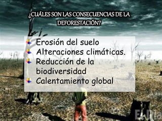 ¿CUÁLES SON LASCONSECUENCIAS DE LA
DEFORESTACIÓN?
Erosión del suelo
Alteraciones climáticas.
Reducción de la
biodiversidad
Calentamiento global
 