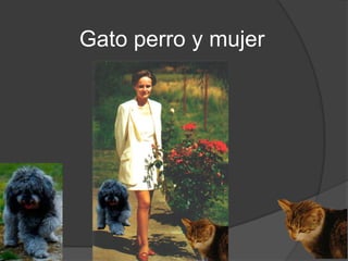 Gato perro y mujer