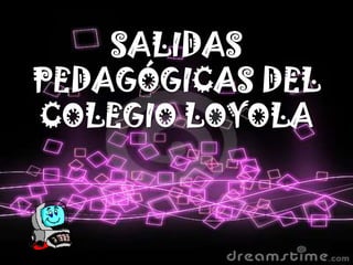 SALIDAS PEDAGÓGICAS DEL COLEGIO LOYOLA 