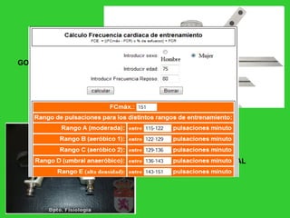 GONIOMETRIA DINAMOMETRO MANUAL   