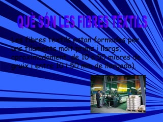 QUÈ SÓN LES FIBRES TÈXTILS Les fibres tèxtils estan formades per uns filaments molt prims i llargs, aproximadament, de 10 a 50 micres de gruix i entre 10 i 50 mm de llargada).  