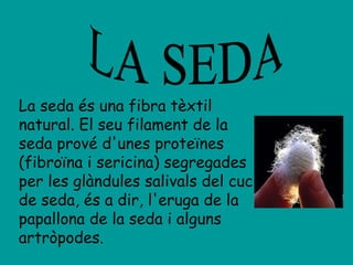 LA SEDA La seda és una fibra tèxtil natural. El seu filament de la seda prové d'unes proteïnes (fibroïna i sericina) segregades per les glàndules salivals del cuc de seda, és a dir, l'eruga de la papallona de la seda i alguns artròpodes.  