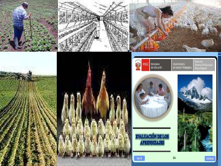 Resultado de imagen para Producción Primaria y Extractiva