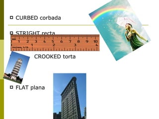 CURBED corbada STRIGHT recta CROOKED torta FLAT plana 
