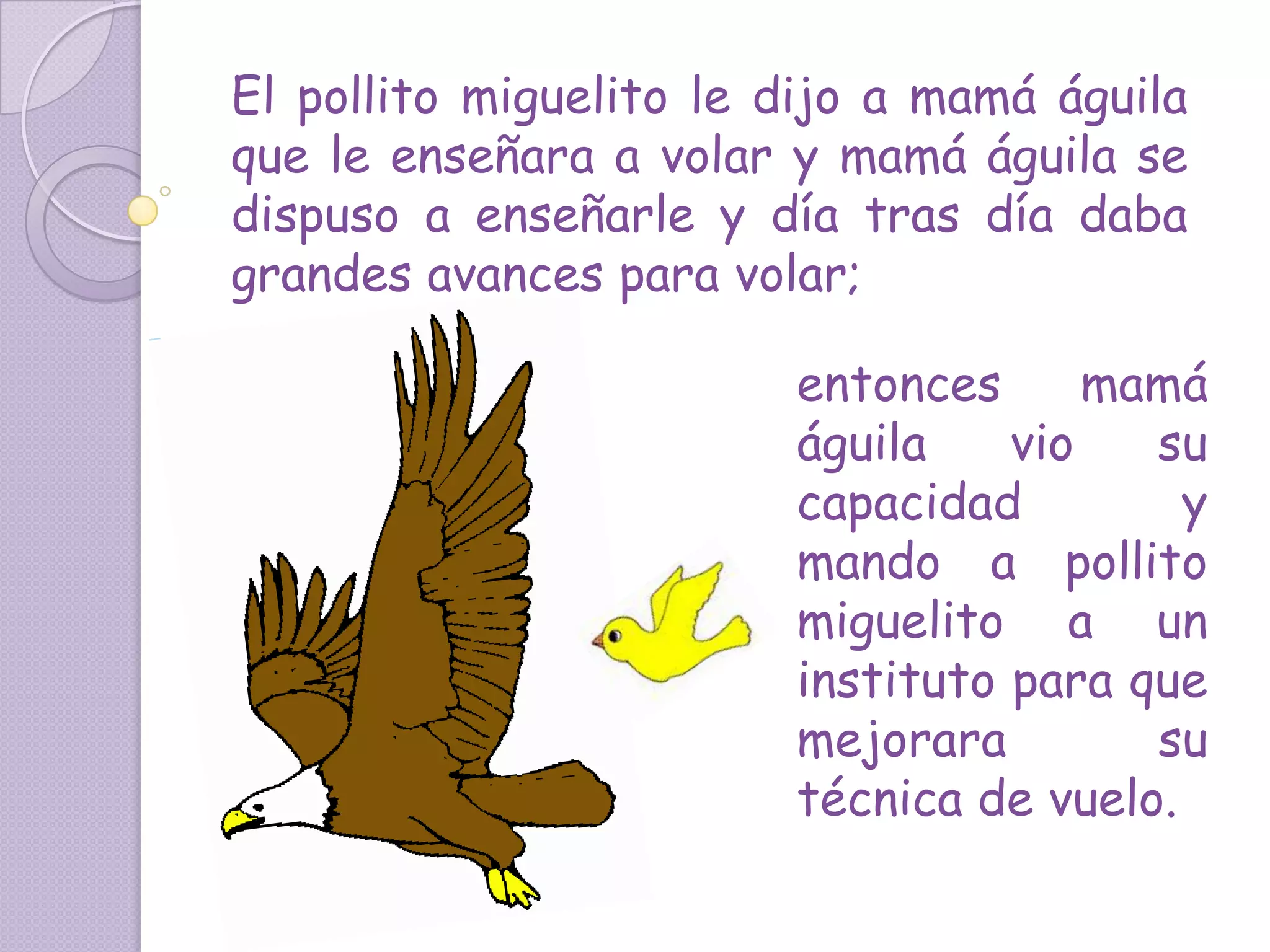 Pollito Miguelito | PPTX