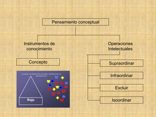 Grafican I. ConocimientoMapas conceptualesNocional	ProposicionalConceptualPrecategorial