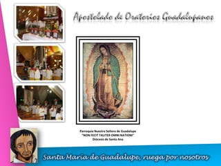 Apostolado de Oratorios Guadalupanos Parroquia Nuestra Señora de Guadalupe “NON FECIT TALITER OMNI NATIONI” Diócesis de Santa Ana Santa María de Guadalupe, ruega por nosotros 