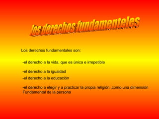 los derechos fundamenteles Los derechos fundamentales son: -el derecho a la vida, que es única e irrepetible -el derecho a la igualdad -el derecho a la educación -el derecho a elegir y a practicar la propia religión ,como una dimensión Fundamental de la persona 
