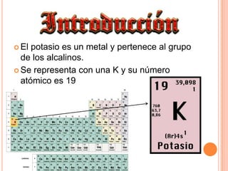 El potasio es un metal y pertenece al grupo de los alcalinos.<br />Se representa con una K y su número atómico es 19<br />