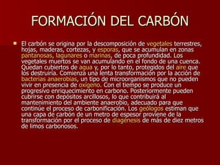 FORMACIÓN DEL CARBÓN El carbón se origina por la descomposición de  vegetales  terrestres, hojas, maderas, cortezas, y  esporas , que se acumulan en zonas  pantanosas ,  lagunares  o  marinas , de poca profundidad. Los vegetales muertos se van acumulando en el fondo de una cuenca. Quedan cubiertos de  agua  y, por lo tanto, protegidos del  aire  que los destruiría. Comienza una lenta transformación por la acción de  bacterias   anaerobias , un tipo de microorganismos que no pueden vivir en presencia de  oxígeno . Con el tiempo se produce un progresivo enriquecimiento en carbono. Posteriormente pueden cubrirse con depósitos arcillosos, lo que contribuirá al mantenimiento del ambiente anaerobio, adecuado para que continúe el proceso de carbonificación. Los  geólogos  estiman que una capa de carbón de un metro de espesor proviene de la transformación por el proceso de  diagénesis  de más de diez metros de limos carbonosos.  