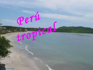 Perú  tropical Playa punta negra 