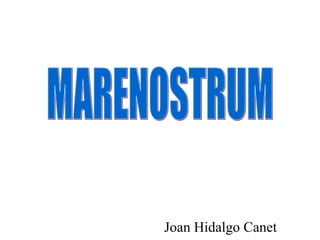 Joan Hidalgo Canet MARENOSTRUM 