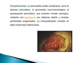 Complicaciones. La pancreatitis puede complicarse, como el absceso pancreático, la pancreatitis necro-hemorrágica, el pseudoquiste pancreático, que ameritan manejo quirúrgico, mediante una laparotomía con abdomen abierto, y lavados peritoneales programados. La marsupialización consiste en dejar el páncreas exteriorizado.