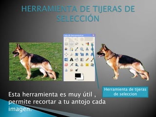 HERRAMIENTA DE TIJERAS DE SELECCIÓNHerramienta de tijeras de seleccionEsta herramienta es muy útil , permite recortar a tu antojo cada imagen.