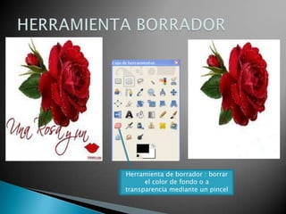 HERRAMIENTA BORRADORHerramienta de borrador : borrar el color de fondo o a transparencia mediante un pincel