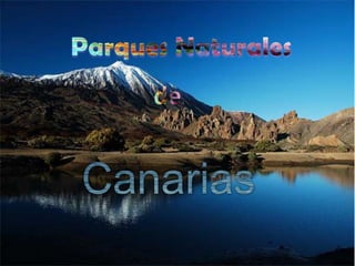 Parques Naturales  de Canarias 