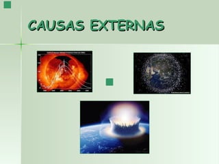CAUSAS EXTERNAS 
