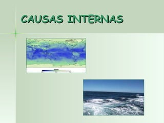 CAUSAS INTERNAS 