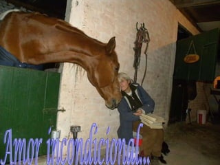 Amor incondicional... 