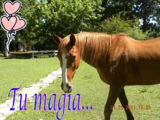 Tu magia... 