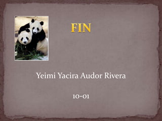 YeimiYaciraAudor Rivera10-01FIN