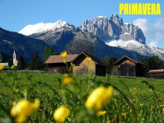 PRIMAVERA 