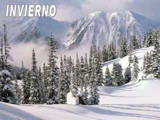 INVIERNO 