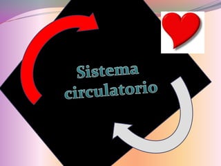 Sistema  circulatorio 