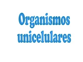 Organismos  unicelulares  