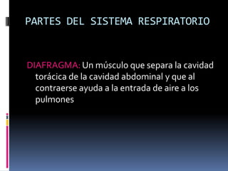 PARTES DEL SISTEMA RESPIRATORIODIAFRAGMA: Un músculo que separa la cavidad torácica de la cavidad abdominal y que al contraerse ayuda a la entrada de aire a los pulmones