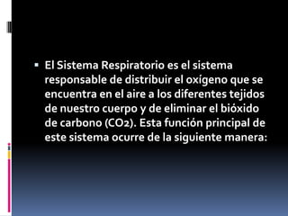 El Sistema Respiratorio es el sistema responsable de distribuir el oxígeno que se encuentra en el aire a los diferentes tejidos de nuestro cuerpo y de eliminar el bióxido de carbono (CO2). Esta función principal de este sistema ocurre de la siguiente manera: