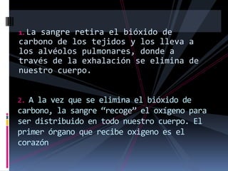 1. La sangre retira el bióxido de carbono de los tejidos y los lleva a los alvéolos pulmonares, donde a través de la exhalación se elimina de nuestro cuerpo.2. A la vez que se elimina el bióxido de carbono, la sangre “recoge” el oxígeno para ser distribuido en todo nuestro cuerpo. El primer órgano que recibe oxigeno es el corazón
