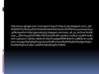 http://www.google.com.mx/imgres?imgurl=http://4.bp.blogspot.com/_J5DOQADDYSc/RnK52DVbYkI/AAAAAAAAACA/oiXcUSHP6Vw/s320/respirasys.gif&imgrefurl=http://gonzalo4b5.blogspot.com/2007_06_01_archive.html&usg=__bRzriA455XsifChB8uTbEQuG4kM=&h=320&w=272&sz=141&hl=es&start=14&zoom=1&itbs=1&tbnid=6SyHLojd9pkRRM:&tbnh=118&tbnw=100&prev=/images%3Fq%3Drespiracion%2Bhumana%26hl%3Des%26gbv%3D2%26tbs%3Disch:1&ei=zx6MTaTqEtGDtgfXr7C8DQ