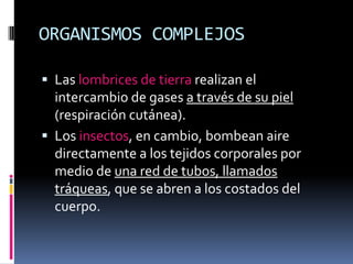 ORGANISMOS COMPLEJOSLas lombrices de tierra realizan el intercambio de gases a través de su piel (respiración cutánea).Los insectos, en cambio, bombean aire directamente a los tejidos corporales por medio de una red de tubos, llamados tráqueas, que se abren a los costados del cuerpo.