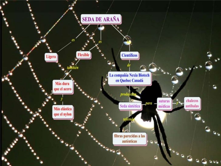 Tips Mapa Mental De Araã±A Gif Susten