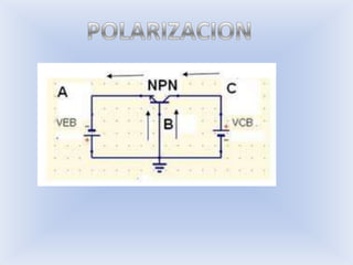 POLARIZACION