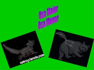 Osa Maior Osa Menor 