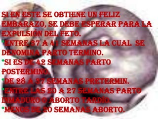 Si en este se obtiene un feliz embarazo, se debe esperar para la expulsión del feto.*Entre 37 a 41 semanas la cual  se denomina parto termino.*Si es de 42 semanas parto postermino. *De 28 a 37 semanas pretermin.*Entre las 20 a 27 semanas parto inmaduro o aborto tardío.*Menos de 20 semanas aborto. 