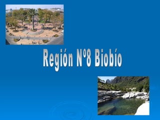 Región Nº8 Biobío 
