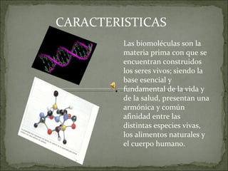 CARACTERISTICAS Las biomoléculas son la materia prima con que se encuentran construidos los seres vivos; siendo la base esencial y fundamental de la vida y de la salud, presentan una armónica y común afinidad entre las distintas especies vivas, los alimentos naturales y el cuerpo humano.