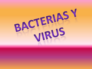 Bacterias y virus 