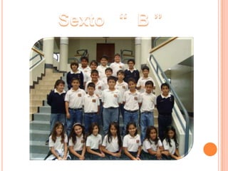 Sexto   “  B ”