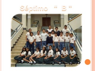 Séptimo   “  B ”