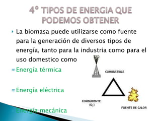 La biomasa puede utilizarse como fuente para la generación de diversos tipos de energía, tanto para la industria como para el uso domestico como por ejemplo: Energía térmica Energía eléctrica Energía mecánica 