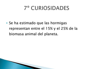 Se ha estimado que las hormigas representan entre el 15% y el 25% de la biomasa animal del planeta.    