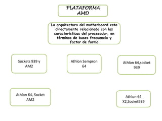 PLATAFORMA AMD La arquitectura del motherboard esta directamente relacionada con las características del procesador, en términos de buses frecuencia y factor de forma Sockets 939 y AM2 Athlon Sempron 64  Athlon 64,socket 939 Athlon 64, Socket AM2  Athlon 64 X2,Socket939 