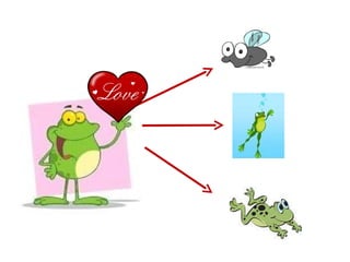 Frog talk | PPT