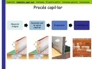 Humitats  Humitats capil·lars   Sistemes  El nostre edifici  Sistemes aplicats  Conclusions Procés capil·lar 